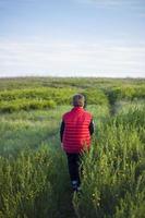 Children in the open spaces of the field are walking among the juicy spring grass in the light of sunset along a narrow trampled path photo