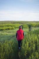 Children in the open spaces of the field are walking among the juicy spring grass in the light of sunset along a narrow trampled path photo