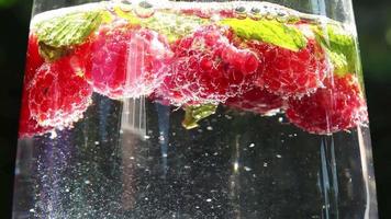 vista de cerca de frambuesas y hojas de menta en soda con burbujas