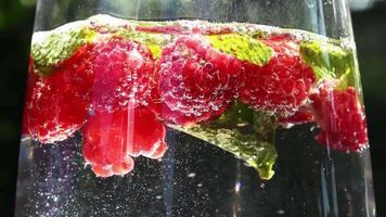 Close up view at raspberries falling into soda with mint leaves making a lot of bubbles video