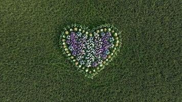 Cinematic video animation from above a flower arrangement in the form of a love symbol