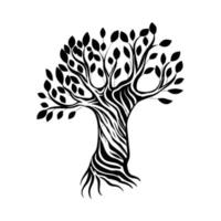 Hand drawn olive tree. Vector sketch illustration