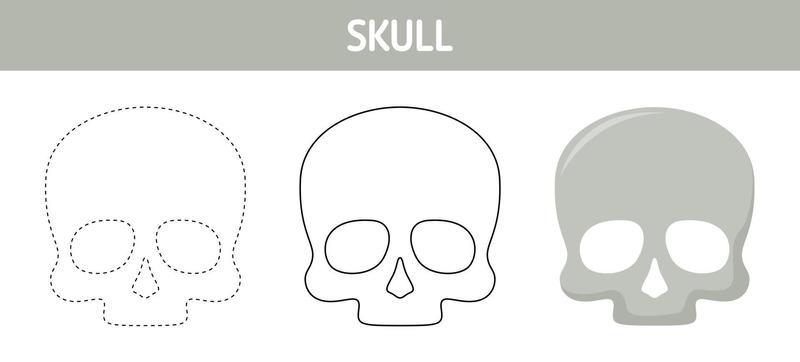 Skull tracing and coloring worksheet for kids