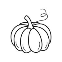 Hand drawn icon of Pumpkin. Doodle sketch style. Autumn harvest element. Isolated vector illustration.