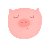 Hand drawn pig for decorative png