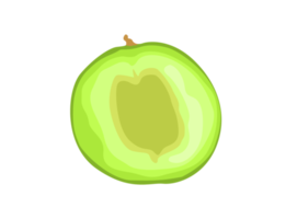 Fruit - Fresh Melon Slices png