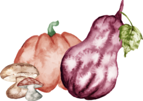 watercolor pumpkin with mushroom png