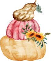watercolor pumpkin with sunflower png