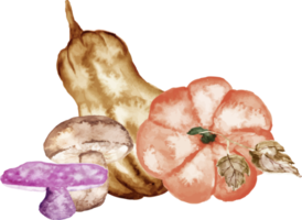 watercolor pumpkin with mushroom png