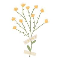 Hand drawn dried flower with washi tape . Vector element isolated on white background