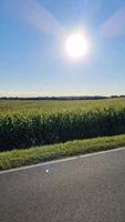 View of an agriculturally used field while driving along. video