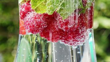 Close up view at raspberries and mint leaves in soda with bubbles. video