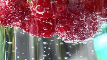 Close up view at raspberries and mint leaves in soda with bubbles. video