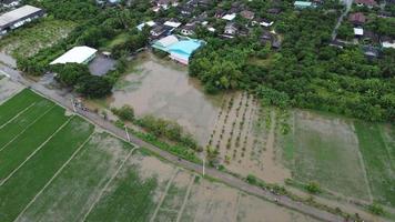 Aerial view of paddy fields or agricultural areas affected by rainy season floods. Top view of a river flowing after heavy rain and flooding of farm fields in rural villages. Climate change concept video