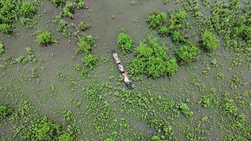 Aerial view of a longtail boat in a green meadow is affected by flooding in the rainy season. Top view of the river flowing after heavy rain and flooding of fields or grazing in rural. Climate change video