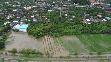 vista aérea de los arrozales o las zonas agrícolas afectadas por las inundaciones de la temporada de lluvias. vista superior de un río que fluye después de fuertes lluvias e inundaciones de campos agrícolas en aldeas rurales. concepto de cambio climático video