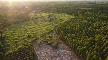 antenn se av hög Spänning pylon fundament konstruktion webbplats. topp se av konstruktion av kraft rader i de skog. video