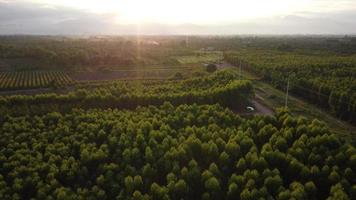 Luftaufnahme der Hochspannungsmast-Baustelle im ländlichen Raum. Draufsicht auf Hochspannungsmasten und -drähte bei Sonnenuntergang auf dem Land. video