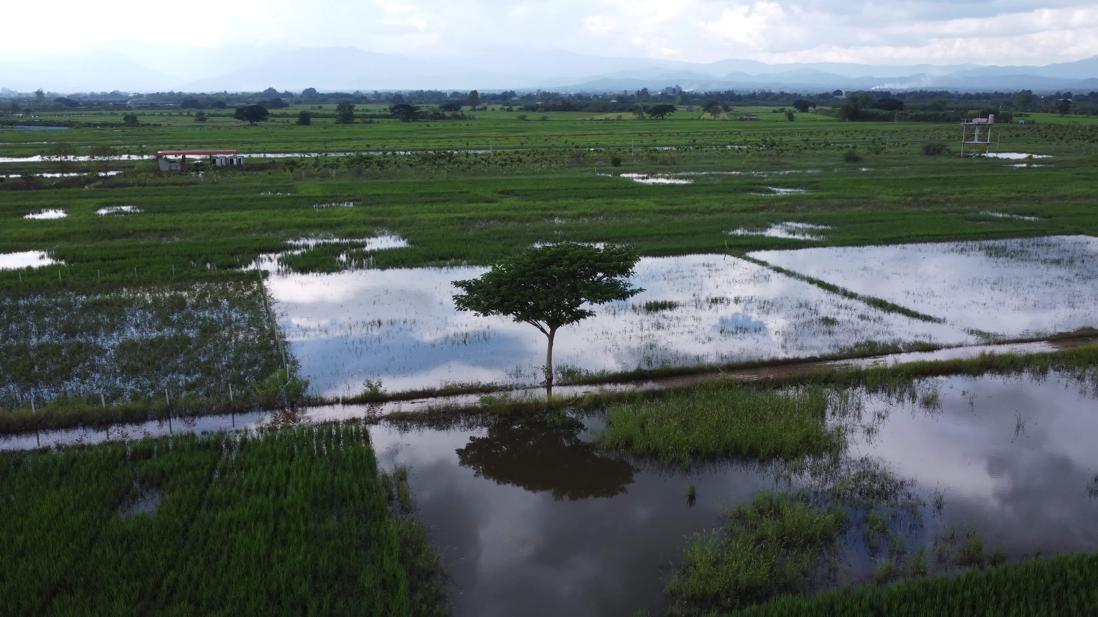 Aerial view of rice fields or agricultural areas affected by rainy
