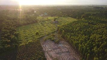 vista aérea do canteiro de obras de fundação de pilão de alta tensão. vista superior da construção de linhas de energia na floresta. video