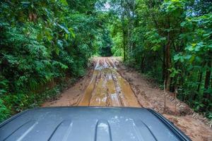 Tire tracks on a muddy road. photo