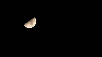 Time lapse of moon at night with a copy space. Half moon with detail surface. video