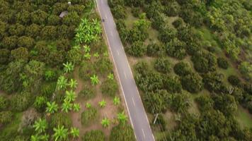 aereo Visualizza di un' rurale asfalto strada tra bellissimo verde spazi. naturale paesaggio sfondo. video