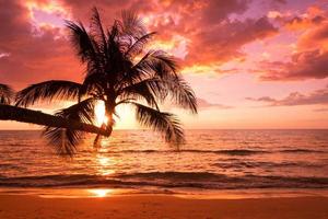 silueta de hermosa puesta de sol en la playa del mar con palmeras para viajar en tiempo de relajación de vacaciones, foto