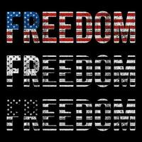 USA flag freedom vector design