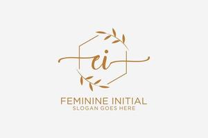 Initial EI beauty monogram and elegant logo design handwriting logo of initial signature, wedding, fashion, floral and botanical with creative template. vector