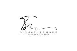 plantilla de logotipo de firma de carta inicial ts diseño elegante logotipo signo símbolo plantilla vector icono