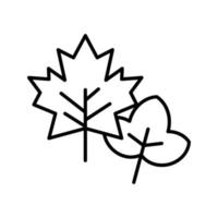 Leaf Vector Icon