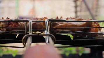 cucinando barbecue su il griglia. carne a il palo. picnic nel il natura video