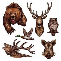 Vector sketch icons of wild animals birds