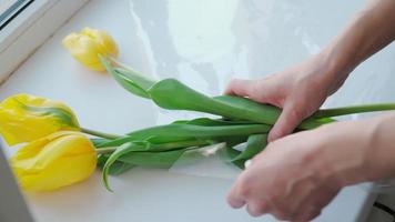 il ragazza crea un' mazzo di bellissimo giallo tulipani. fiori. avvicinamento video