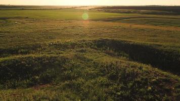 mooi groen veld- Bij zonsondergang. de verbijsterend landschap video