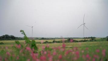 em um belo campo com flores cor de rosa trabalham moinhos de vento. energias alternativas e renováveis. tecnologia moderna. conceito de eletricidade verde. video