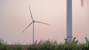 in een mooi veld- met roze bloemen werk windmolens. alternatief en hernieuwbaar energie. modern technologie. groen elektriciteit concept. video