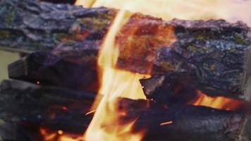 brinnande trä för utegrill. brand. kol för matlagning. grill. långsam rörelse video