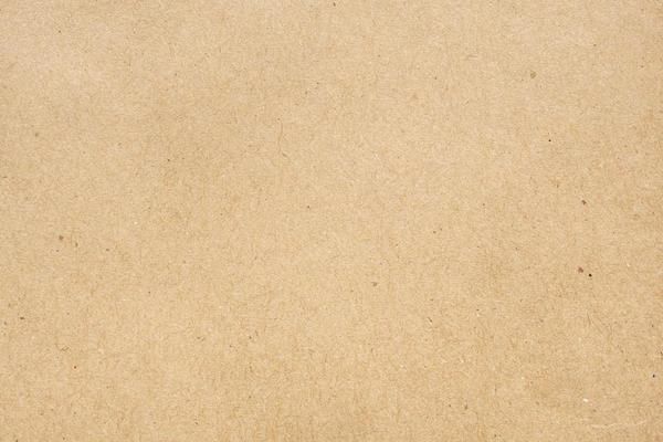 Cardboard paper texture Royalty Free Vector Image