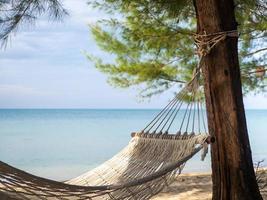 The hammock hung on the tree. On the background are the sea and the beach. photo