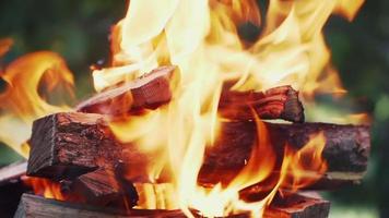 brandend hout voor barbecue. brand. kolen voor Koken. grillen. langzaam beweging video