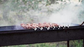 cucinando kebab su il griglia avvicinamento. falò e arrostito il carne su il spiedini. picnic. delizioso cibo. lento movimento video