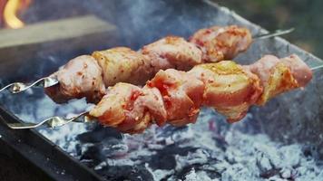 cuisson kebab sur le gril agrandi. feu de joie et rôti la viande sur les brochettes. pique-nique. nourriture délicieuse. ralenti