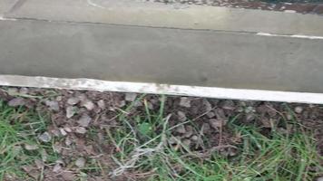 Construction of a strip foundation for a fence