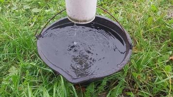 vidanger l'eau de pluie d'un drain dans un seau video