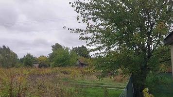 een orkaan wind slagen en schudt de bomen in de dorp video