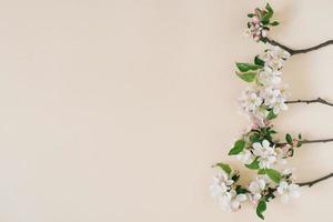 flores de primavera de manzana sobre un fondo beige. plano, vista superior con espacio de copia foto