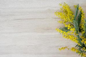 Mimosa branch frame with yellow flowers on a light wooden background with copy space photo