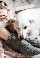 Cozy home, woman covered with warm blanket, drinks coffee,  sleeping dog next to woman. photo